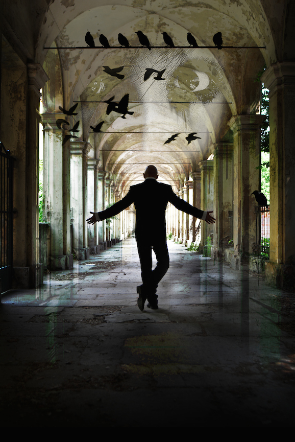 Asylum di Antonio Argus