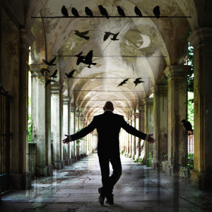 Asylum_Cover_Antonio-Argus